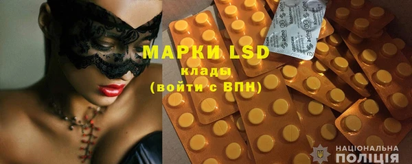 твердый Вяземский