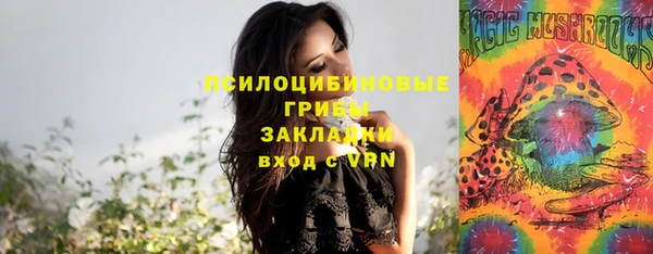 бошки Горнозаводск