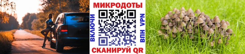 Купить закладки  Костомукша  Галлюциногенные грибы прущие грибы 